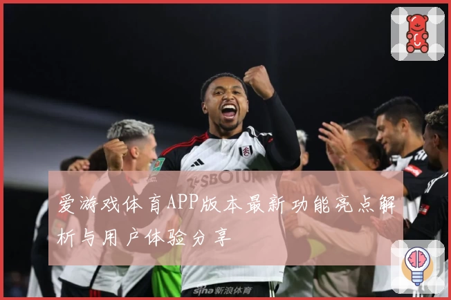 爱游戏体育APP版本最新功能亮点解析与用户体验分享