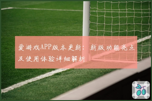 爱游戏APP版本更新：新版功能亮点及使用体验详细解析
