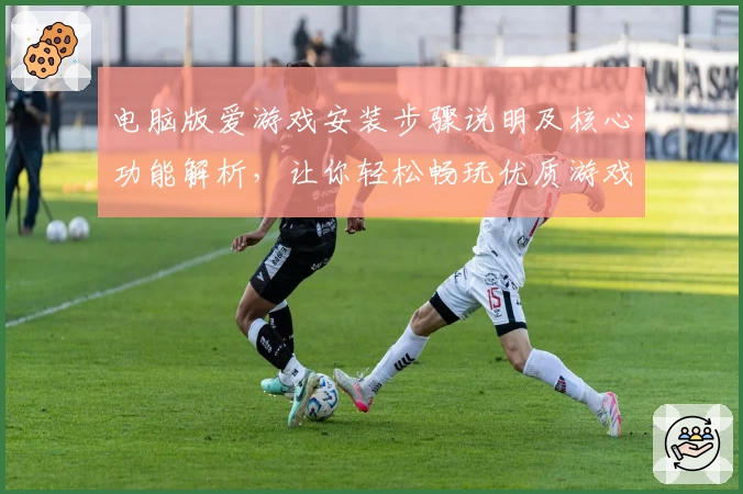 电脑版爱游戏安装步骤说明及核心功能解析，让你轻松畅玩优质游戏平台
